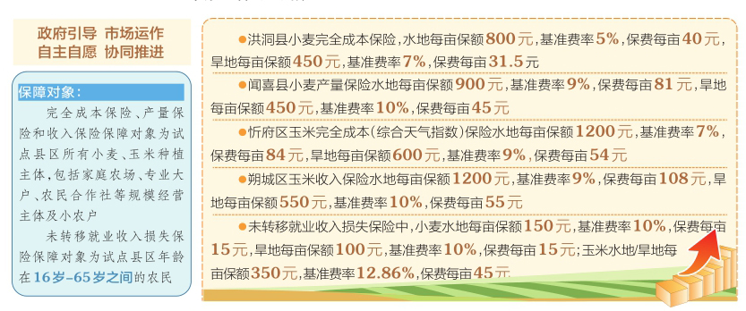 新澳2025全年资料正版资料大全|词语释义解释落实